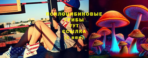 мяу мяу мука Абинск
