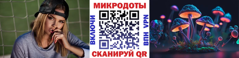 Псилоцибиновые грибы Psilocybe  что такое   Суоярви 
