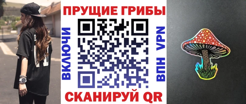 Галлюциногенные грибы Cubensis Суоярви
